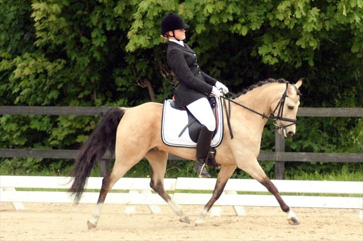 Rideklubben Falken d. 30.05.2010 - X-FAKTOR CUP FINALE billede 11