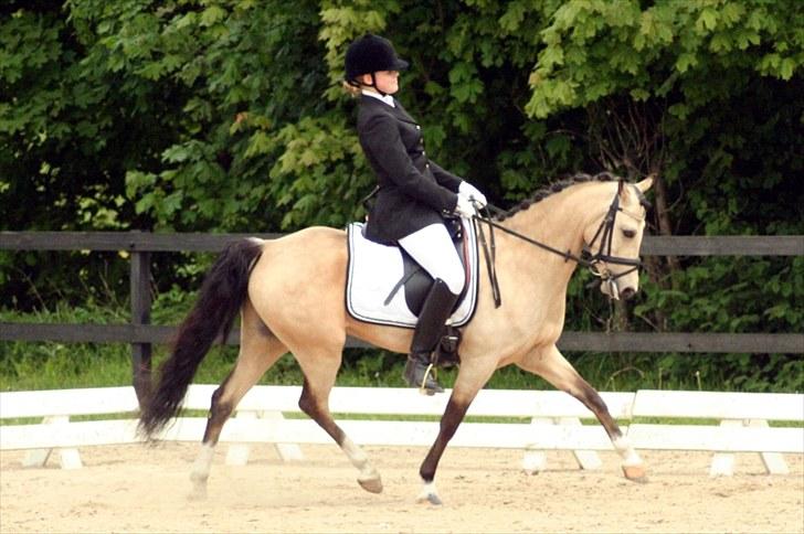 Rideklubben Falken d. 30.05.2010 - X-FAKTOR CUP FINALE billede 12