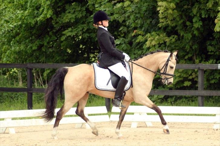 Rideklubben Falken d. 30.05.2010 - X-FAKTOR CUP FINALE billede 13