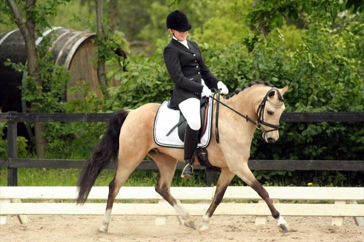 Rideklubben Falken d. 30.05.2010 - X-FAKTOR CUP FINALE billede 14