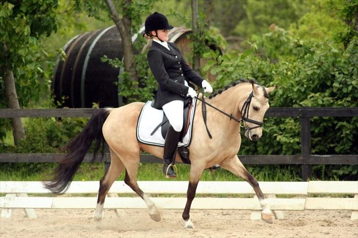 Rideklubben Falken d. 30.05.2010 - X-FAKTOR CUP FINALE billede 15