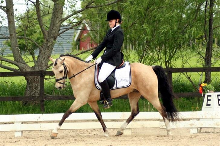 Rideklubben Falken d. 30.05.2010 - X-FAKTOR CUP FINALE billede 20