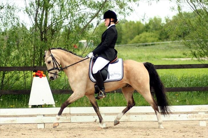 Rideklubben Falken d. 30.05.2010 - X-FAKTOR CUP FINALE billede 23