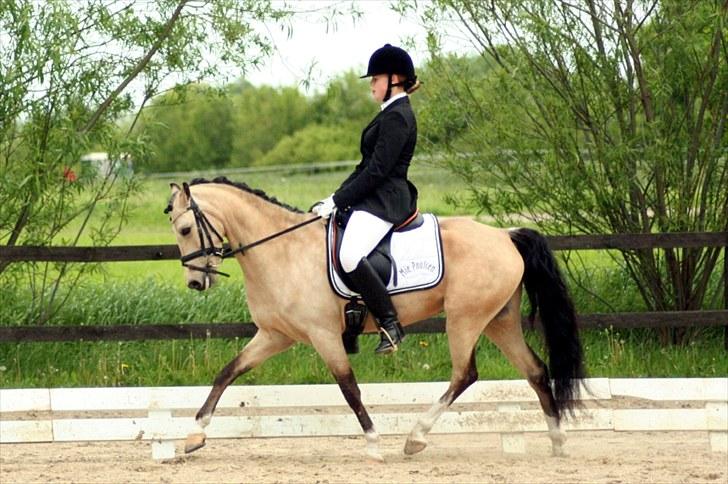 Rideklubben Falken d. 30.05.2010 - X-FAKTOR CUP FINALE billede 24