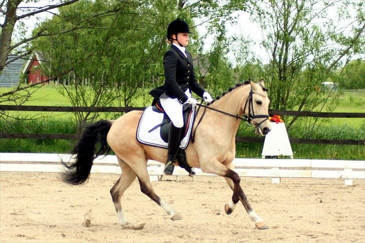 Rideklubben Falken d. 30.05.2010 - X-FAKTOR CUP FINALE billede 26