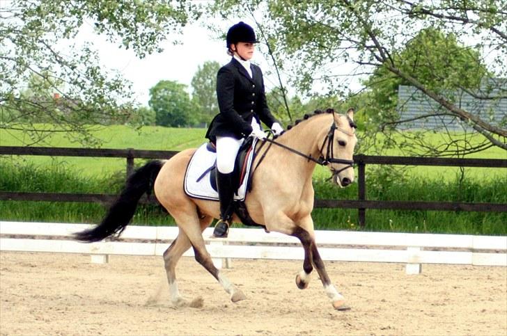 Rideklubben Falken d. 30.05.2010 - X-FAKTOR CUP FINALE billede 27