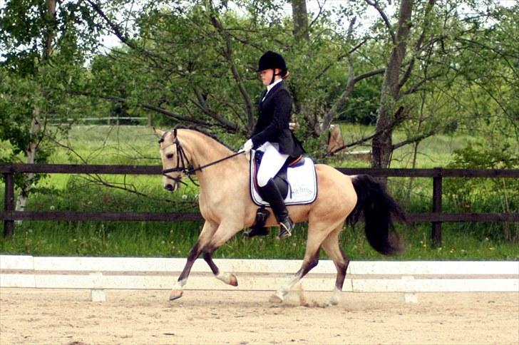 Rideklubben Falken d. 30.05.2010 - X-FAKTOR CUP FINALE billede 28