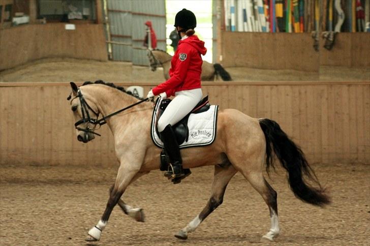 Rideklubben Falken d. 30.05.2010 - X-FAKTOR CUP FINALE billede 29
