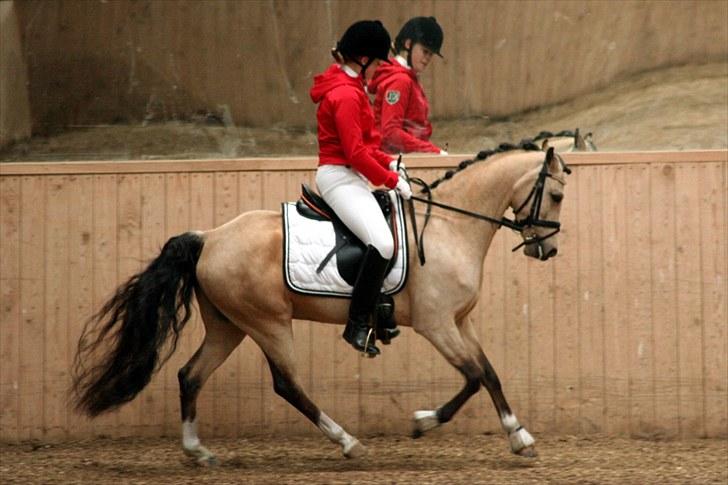 Rideklubben Falken d. 30.05.2010 - X-FAKTOR CUP FINALE billede 30