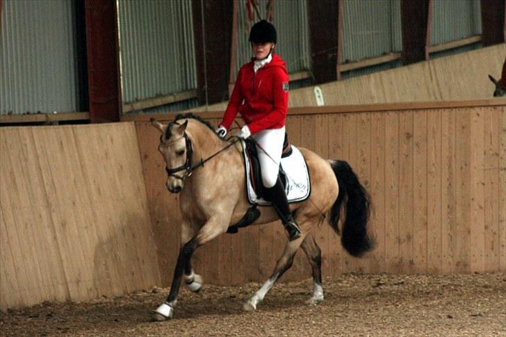 Rideklubben Falken d. 30.05.2010 - X-FAKTOR CUP FINALE billede 31