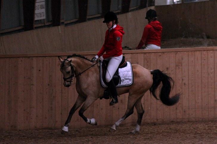 Rideklubben Falken d. 30.05.2010 - X-FAKTOR CUP FINALE billede 32