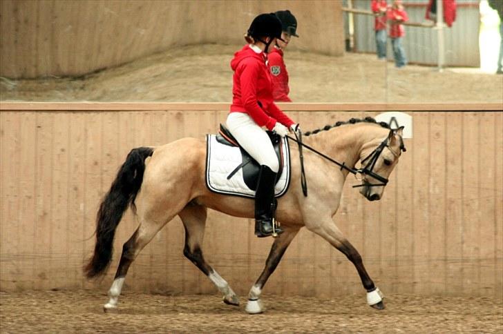 Rideklubben Falken d. 30.05.2010 - X-FAKTOR CUP FINALE billede 33