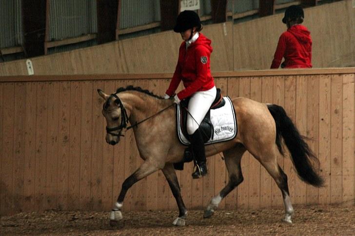 Rideklubben Falken d. 30.05.2010 - X-FAKTOR CUP FINALE billede 35