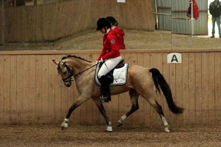 Rideklubben Falken d. 30.05.2010 - X-FAKTOR CUP FINALE billede 36