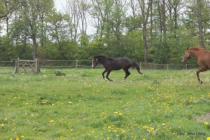Spejl refleks-kamera (A.G Foto) billede 5