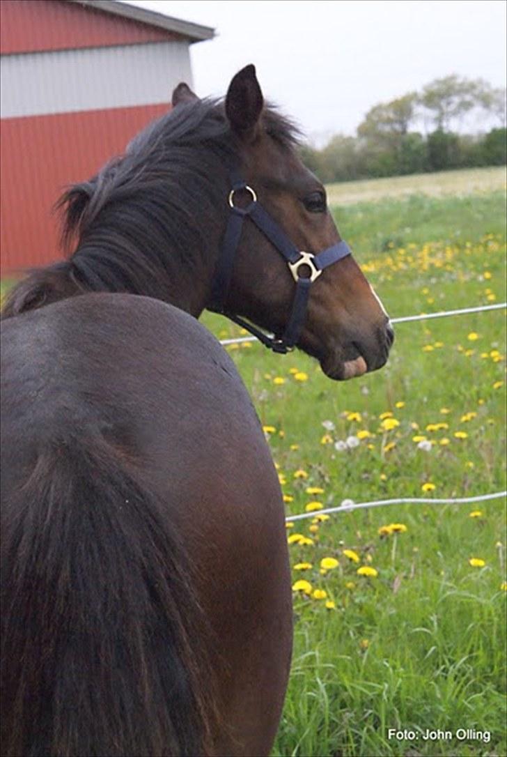 Spejl refleks-kamera (A.G Foto) billede 8