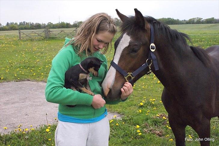 Spejl refleks-kamera (A.G Foto) billede 10