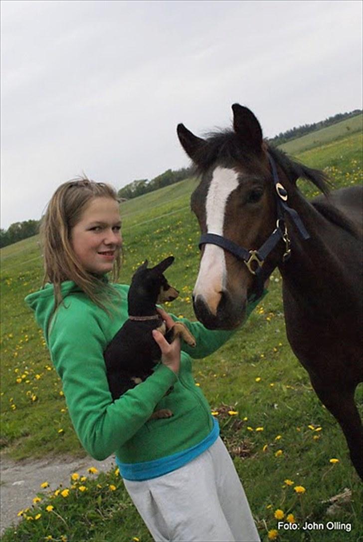 Spejl refleks-kamera (A.G Foto) billede 11