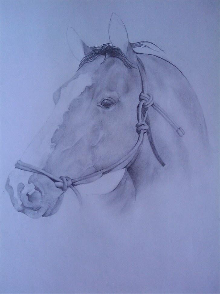 .. Tegninger :) | Åben for bestillinger. - En lille opdatering på den tegning jeg er igang med. mangler ørene og lidt små ting, samt hunden der kommer på ved siden af | forresten er kvaliteten dårlig, øjne og andre detaljeret ting kan ikk ses så tydeligt her på computeren. billede 9