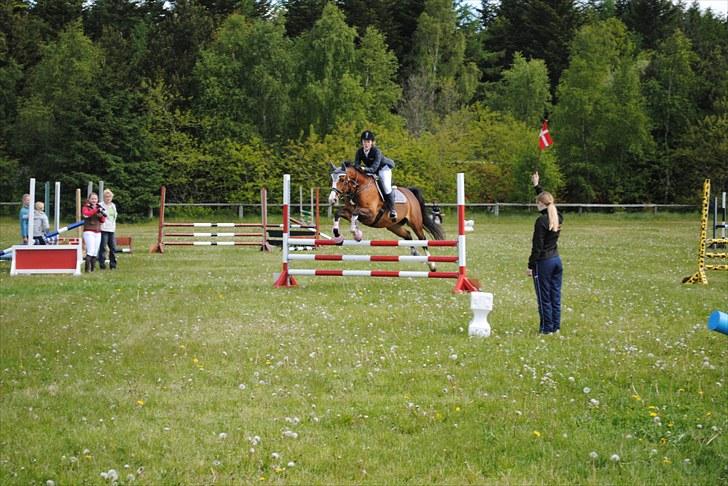 Aaskov rideklub!! billede 1