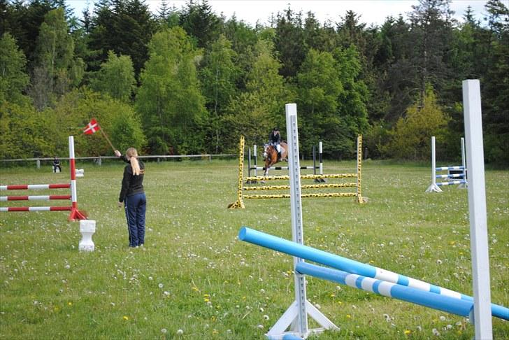 Aaskov rideklub!! billede 3