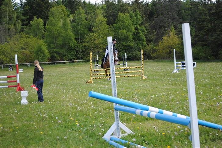 Aaskov rideklub!! billede 4