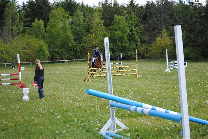 Aaskov rideklub!! billede 5