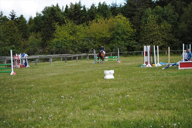 Aaskov rideklub!! billede 6