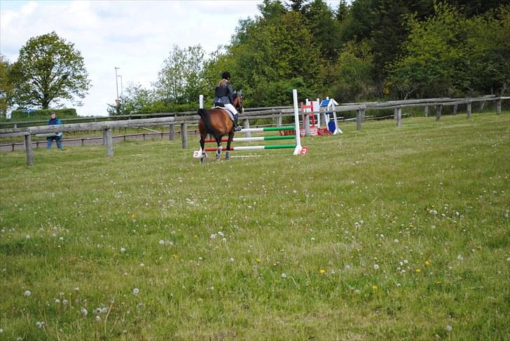 Aaskov rideklub!! billede 7