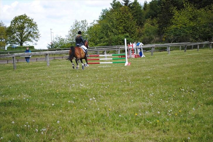 Aaskov rideklub!! billede 8