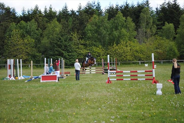 Aaskov rideklub!! billede 9