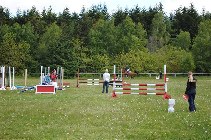 Aaskov rideklub!! billede 11