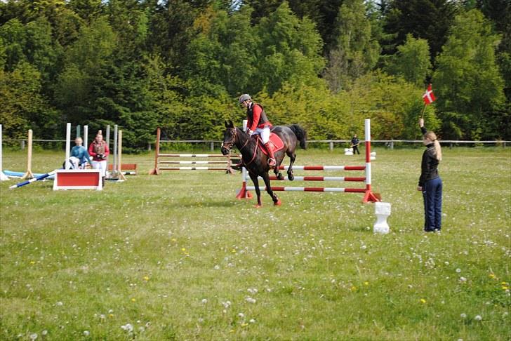 Aaskov rideklub!! billede 12