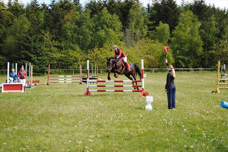 Aaskov rideklub!! billede 13