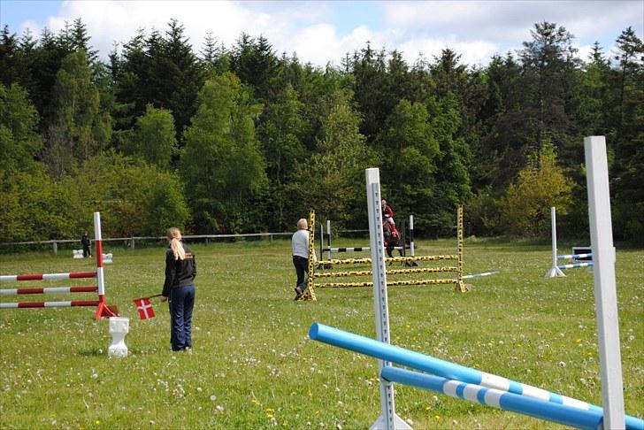 Aaskov rideklub!! billede 15