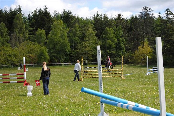 Aaskov rideklub!! billede 16