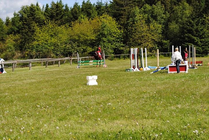 Aaskov rideklub!! billede 18