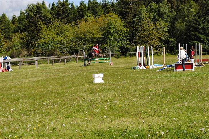 Aaskov rideklub!! billede 19