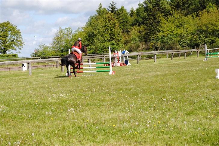 Aaskov rideklub!! billede 20