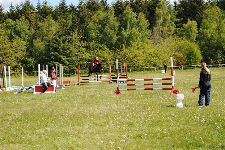 Aaskov rideklub!! billede 21