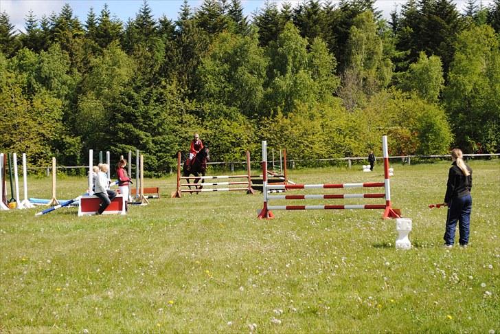 Aaskov rideklub!! billede 22