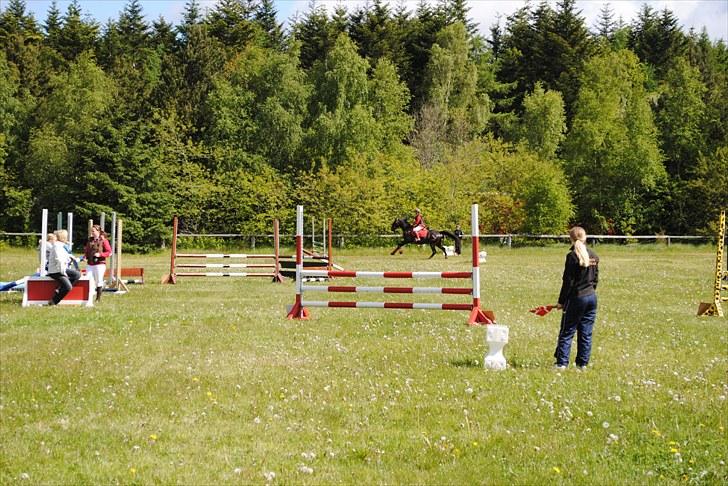 Aaskov rideklub!! billede 23