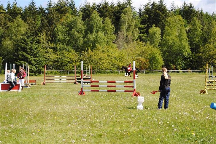 Aaskov rideklub!! billede 24