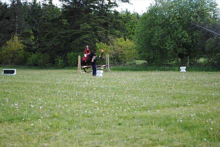 Aaskov rideklub!! billede 28