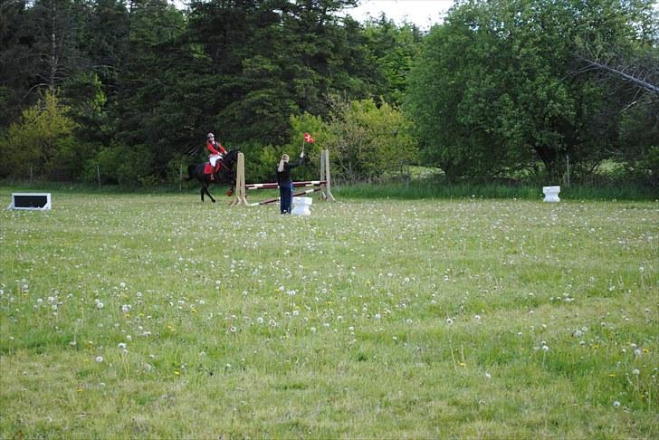 Aaskov rideklub!! billede 29