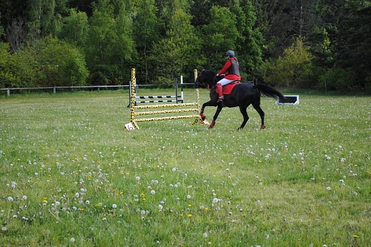 Aaskov rideklub!! billede 31