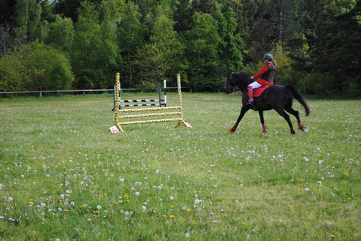 Aaskov rideklub!! billede 32