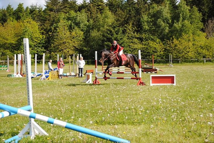 Aaskov rideklub!! billede 33