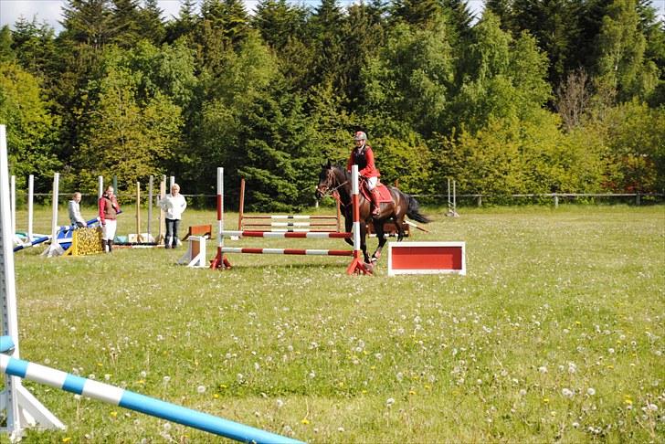 Aaskov rideklub!! billede 34