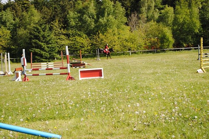 Aaskov rideklub!! billede 35